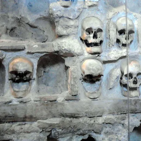 Garni Rile Men Ni